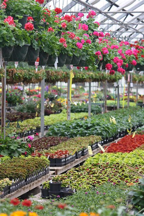 tagawa gardens hours|horticultural supply near me.